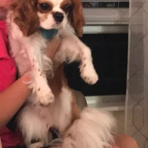 Meet your Posher, Keith